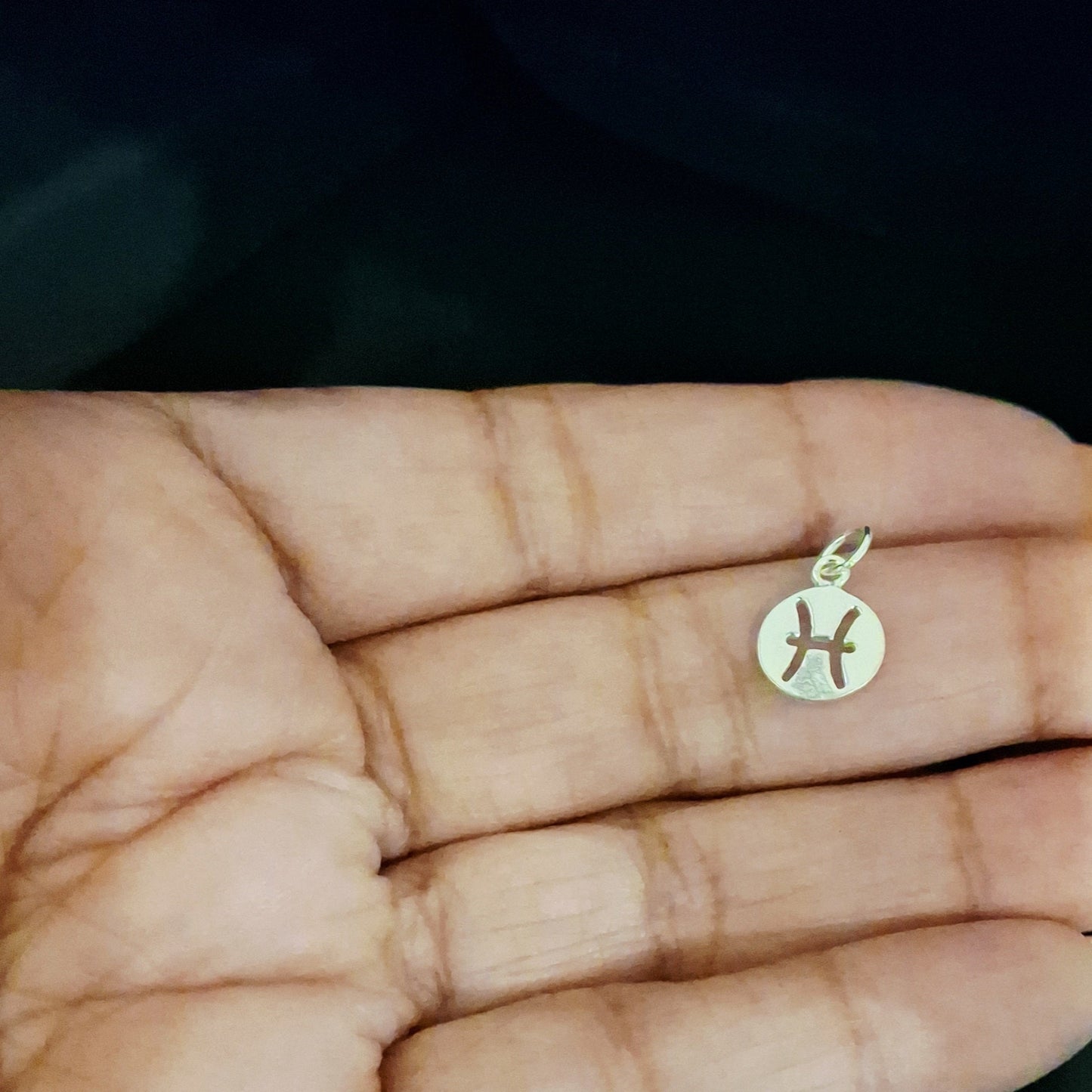 Zodiac Disc Pendant