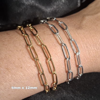 Paperclip Chain - PVD Plated Stainless Steel