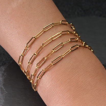 Paperclip Chain - PVD Plated Stainless Steel
